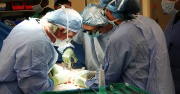 Rewolucja francuska w transplantologii. Kto powinien decydować o pobraniu organów po śmierci? 