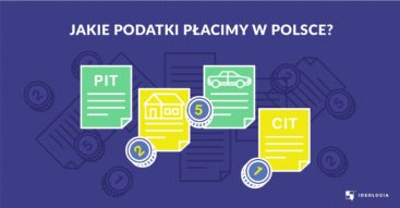 Jakie podatki płacimy w Polsce? Rodzaje podatków w Polsce i nietypowe podatki na świecie